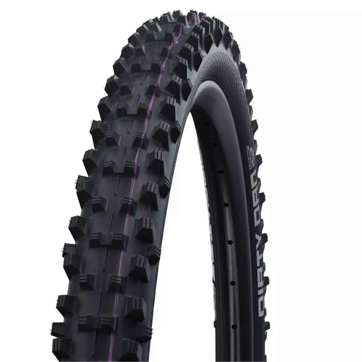 Schwalbe rengas Dirty Dan 29x2,35