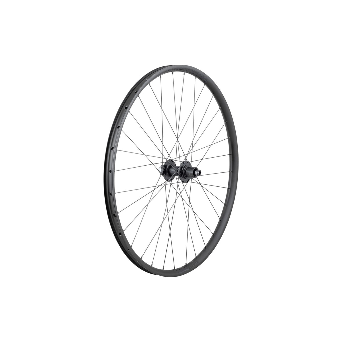 Bontrager Line 30 6-Bolt TLR Boost 29˝ MTB Wheel Rear – Tubeless-ready, Boost 148
