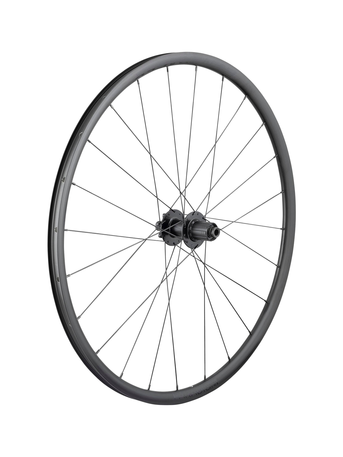 Bontrager Paradigm SL 6-Bolt Disc 24H 700c Road Wheel [WLR BNT PDM SL/RX342 700C 24H]